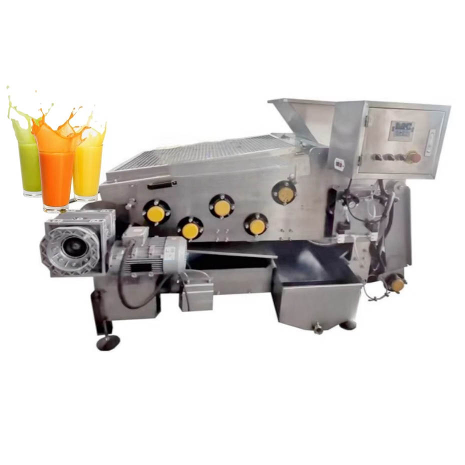 Industrial Fruit Cold Press Ju - Cold Press Juicer avis et prix
