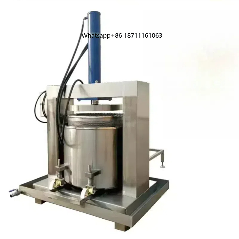 Industrial Vertical 380V Hydra - Cold Press Juicer avis et prix