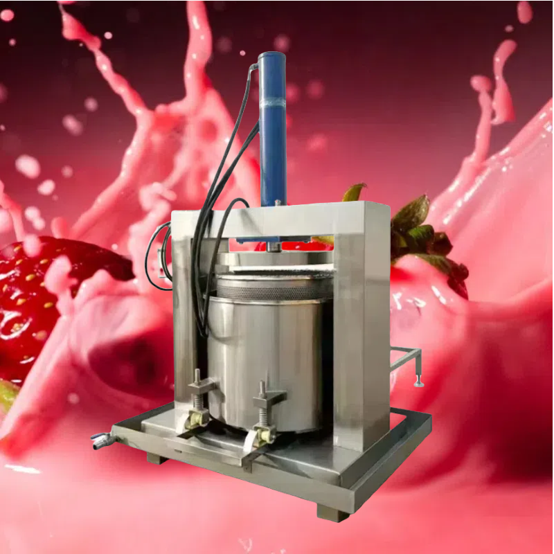 Industrial Vertical 380V Hydra - Cold Press Juicer avis et prix