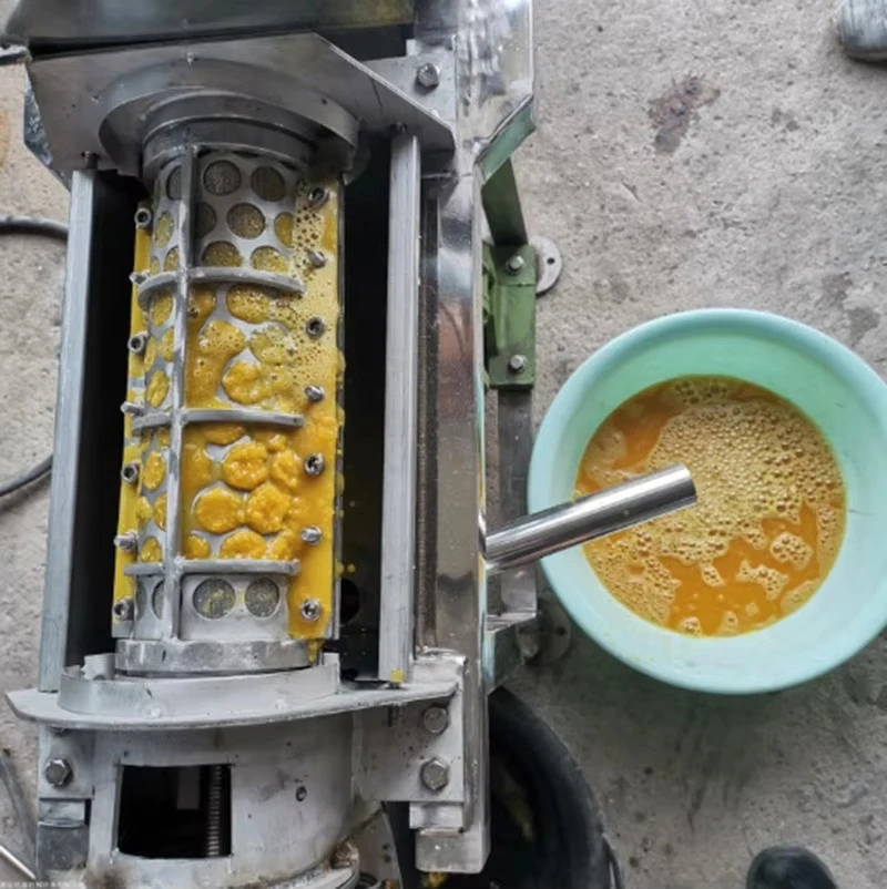 Commercial Crushing Juicer Scr - Cold Press Juicer avis et prix