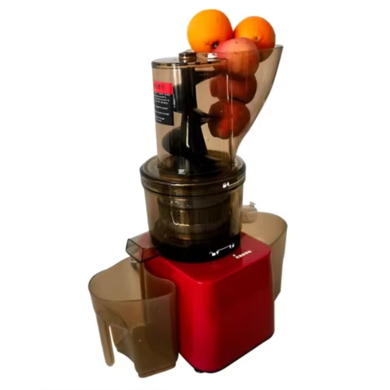 Stainless Steel Fruit Vegetabl - Cold Press Juicer avis et prix