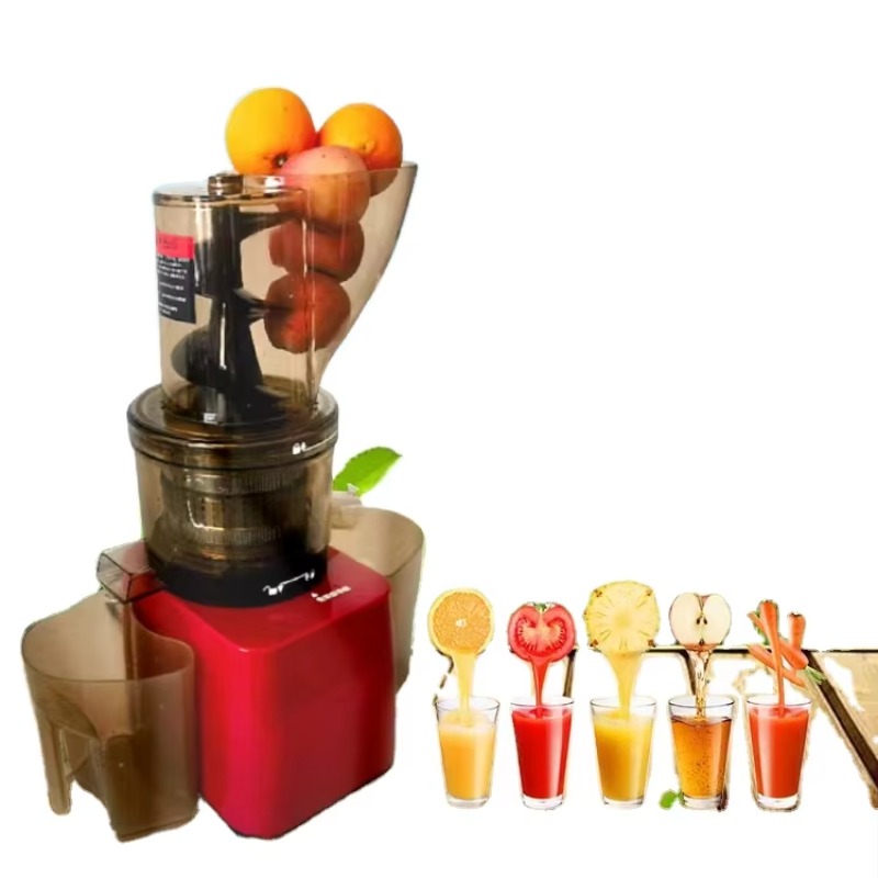 Stainless Steel Fruit Vegetabl - Cold Press Juicer avis et prix