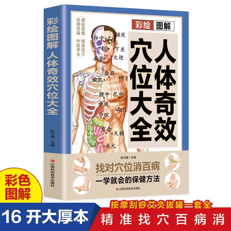Complete Guide to Acupoint Mas - Health & Wellness Fee avis et prix