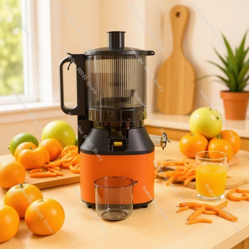 304 Stainless Steel Juicer Hom - Cold Press Juicer avis et prix
