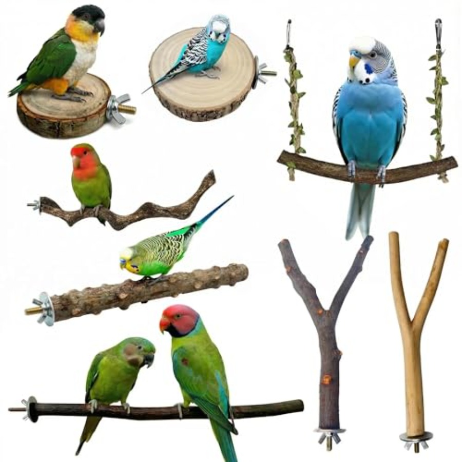 8PCS natural wood bird perches - Health & Wellness Fee avis et prix