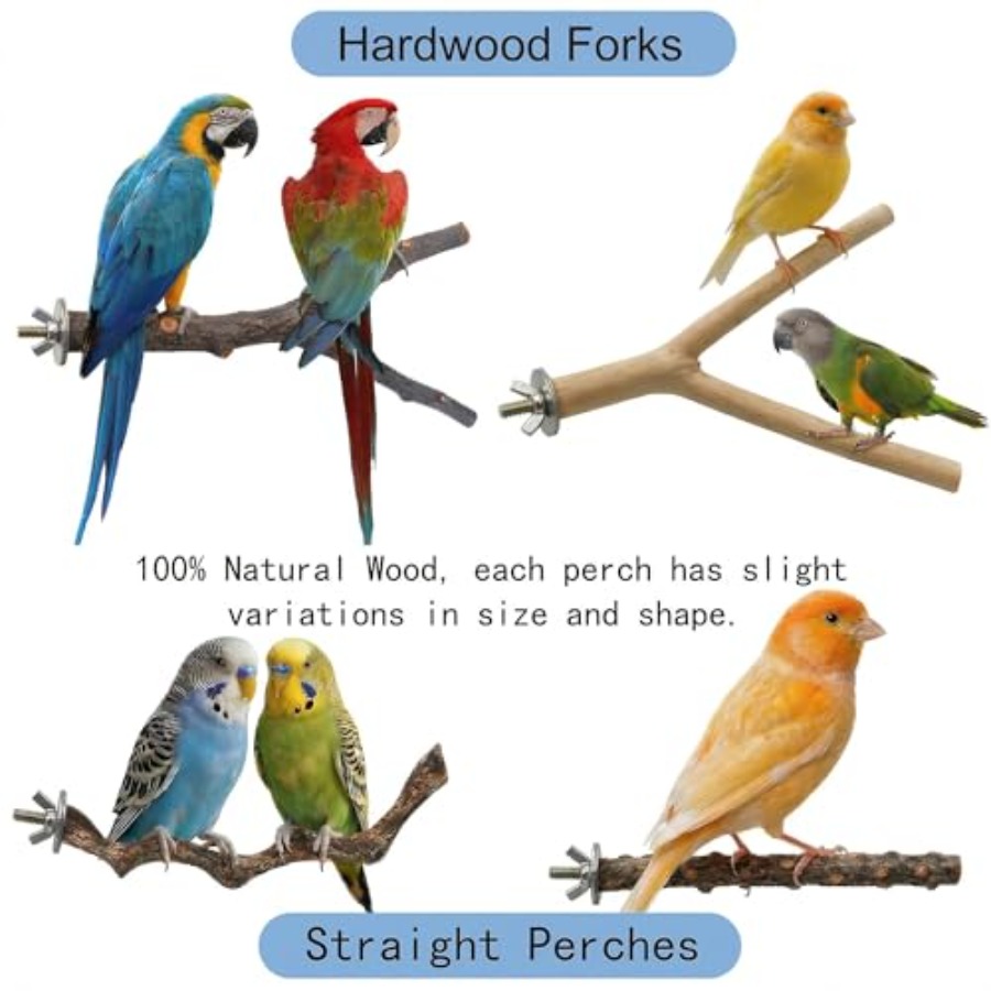 8PCS natural wood bird perches - Health & Wellness Fee avis et prix