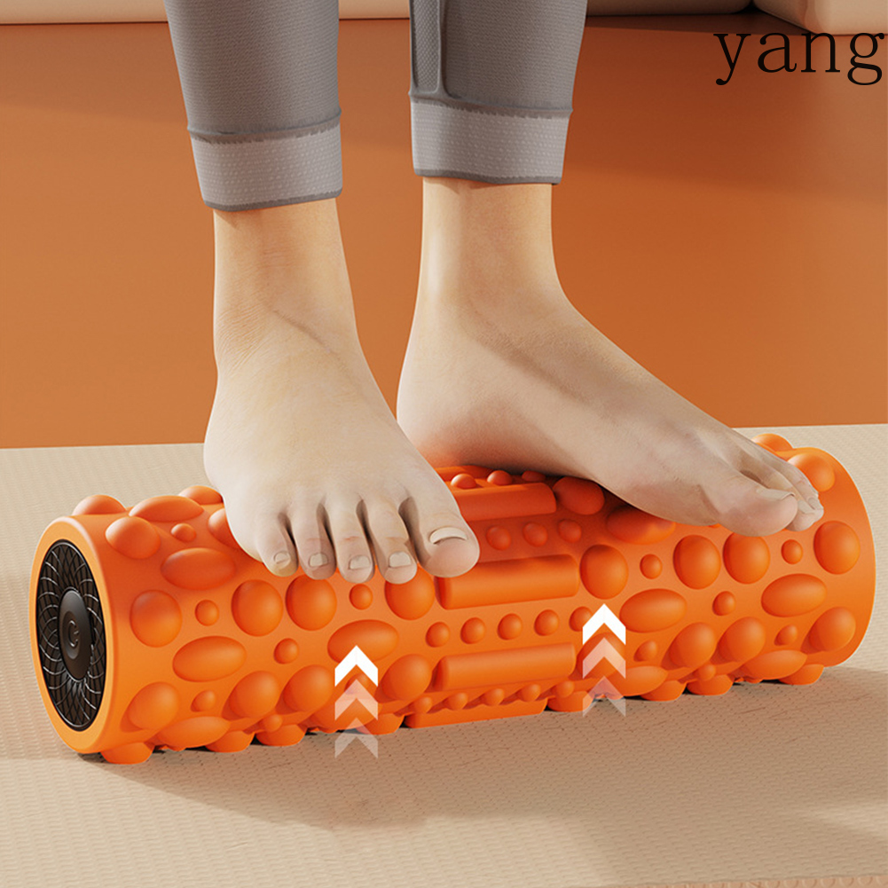 Electric Vibrating Foam Roller - Vibrating Foam Roller avis et prix