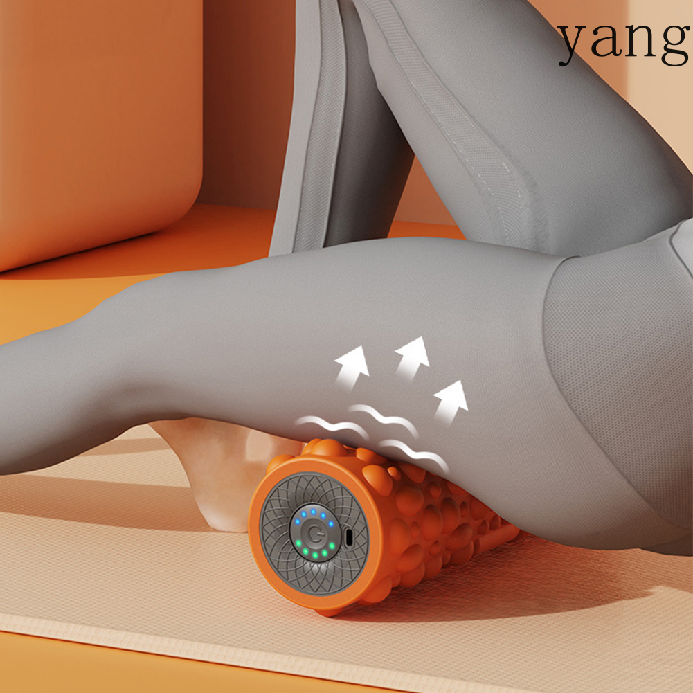 Electric Vibrating Foam Roller - Vibrating Foam Roller avis et prix