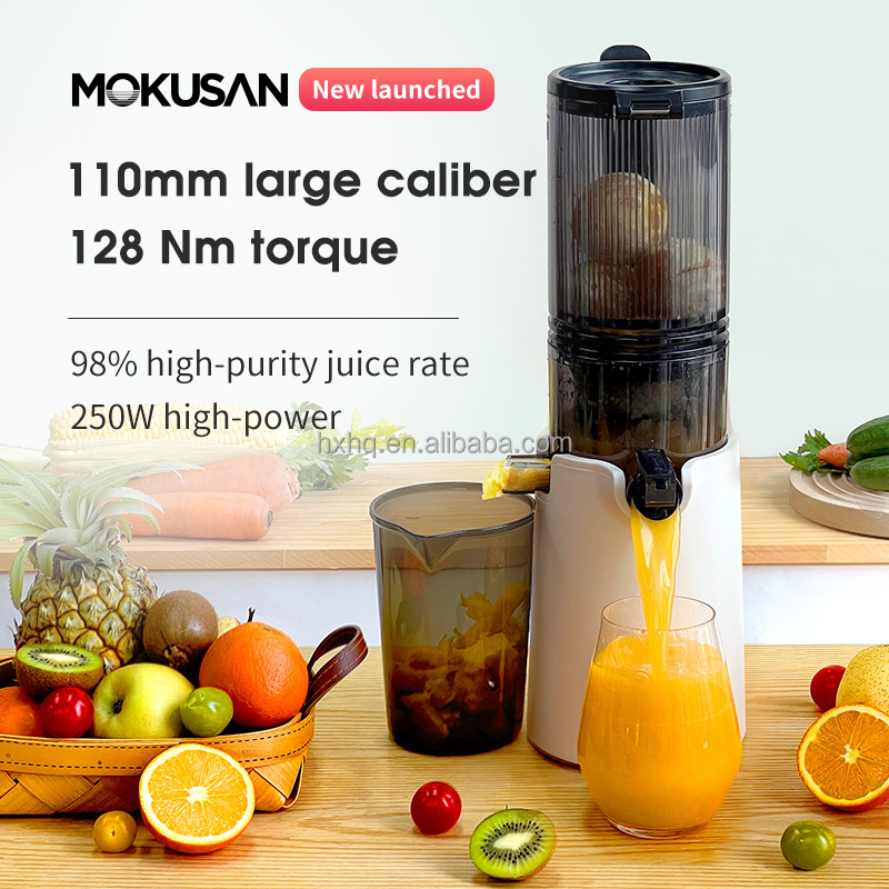 Hot Sale Big Mouth Cold Press  - Cold Press Juicer avis et prix